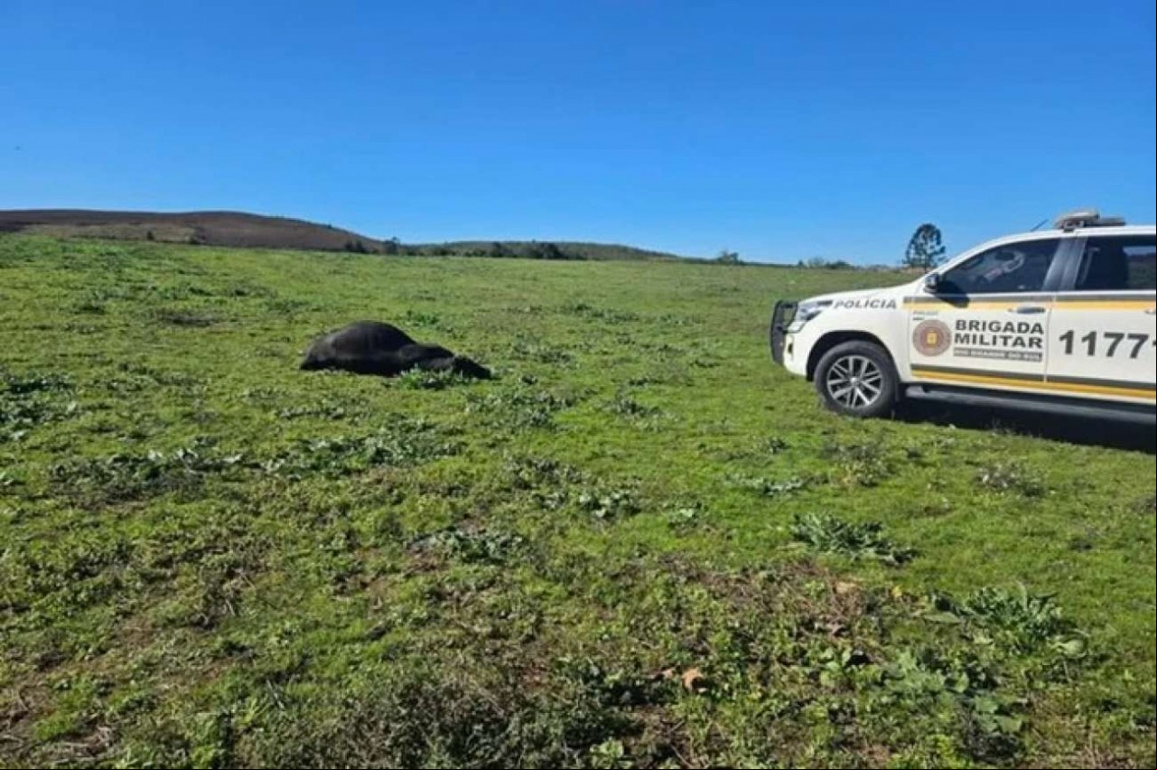 Idoso morre após ser atacado por touro na zona rural de Soledade