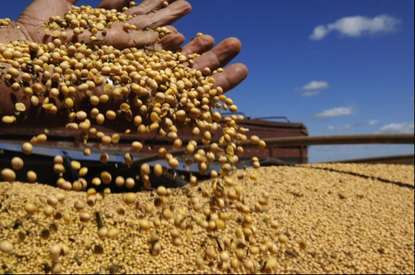 Cotações Agrícolas